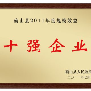 十強企業(yè)